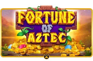 Blackjack Guide overview on 2026 bd for Bangladesh table-game users